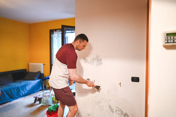 Best Mold Testing  in Charleston, SC